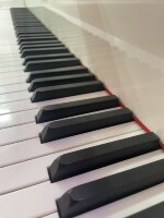 ВЛАДИВОСТОК: Интенсивный курс нотной грамоты (сольфеджио), 10 - 13 июня 2026