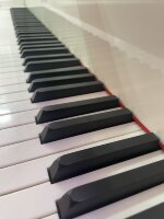 ВЛАДИВОСТОК (ПРЕДОПЛАТА): Сольфеджио 10-13 июня 2026 года